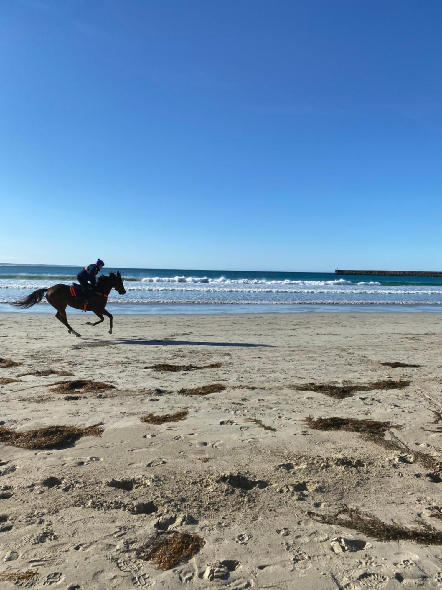 Barkly Beach House Warrnambool Zewnętrze zdjęcie